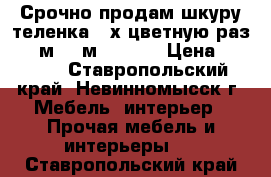Срочно продам шкуру теленка 2-х цветную раз.(1,5м*0,9м)(IKEA) › Цена ­ 5 000 - Ставропольский край, Невинномысск г. Мебель, интерьер » Прочая мебель и интерьеры   . Ставропольский край